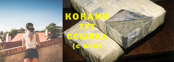 ешки Аркадак