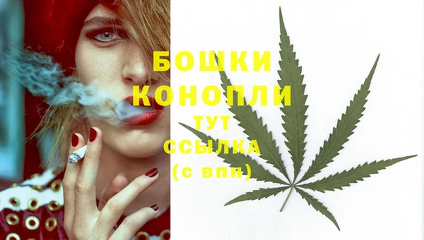 ешки Аркадак