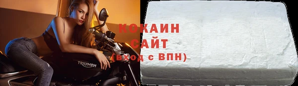 ешки Аркадак