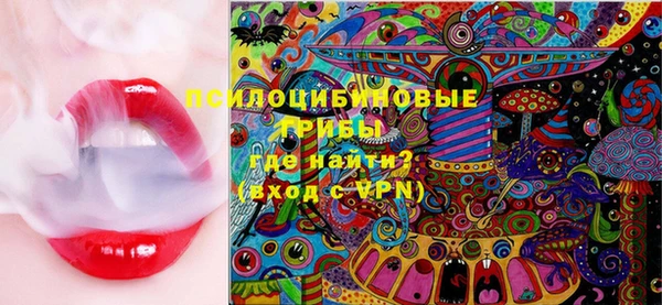 ешки Аркадак